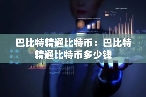 巴比特精通比特币：巴比特精通比特币多少钱