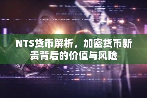 NTS货币解析，加密货币新贵背后的价值与风险