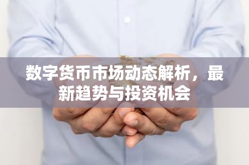 数字货币市场动态解析，最新趋势与投资机会