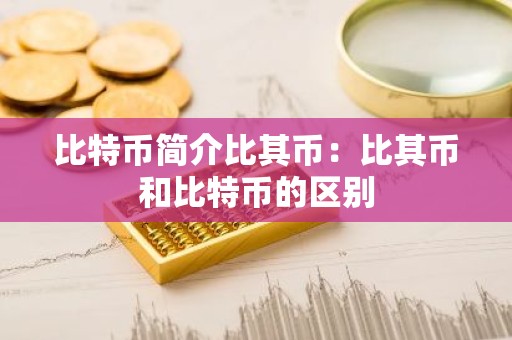比特币简介比其币：比其币和比特币的区别