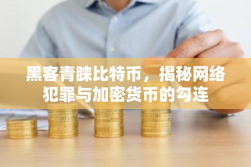 黑客青睐比特币，揭秘网络犯罪与加密货币的勾连