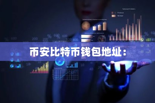 币安比特币钱包地址：