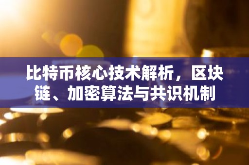 比特币核心技术解析，区块链、加密算法与共识机制