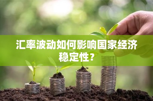 汇率波动如何影响国家经济稳定性？