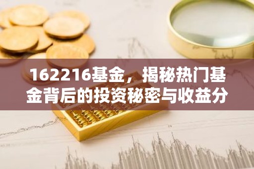 162216基金，揭秘热门基金背后的投资秘密与收益分析
