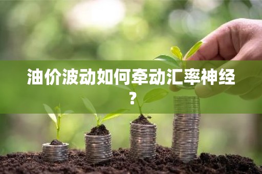 油价波动如何牵动汇率神经？