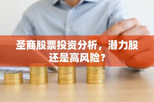 圣商股票投资分析，潜力股还是高风险？