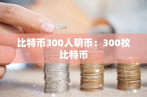 比特币300人明币：300枚比特币