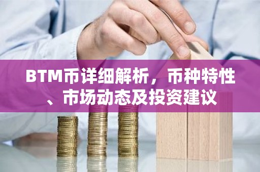 BTM币详细解析，币种特性、市场动态及投资建议