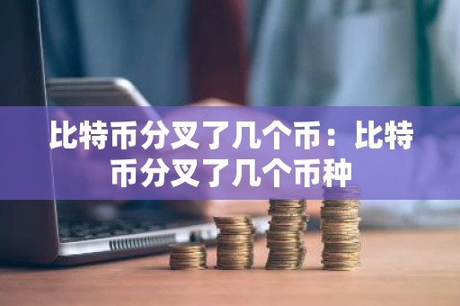 比特币分叉了几个币：比特币分叉了几个币种