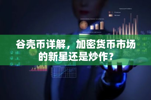 谷壳币详解，加密货币市场的新星还是炒作？