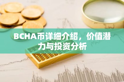 BCHA币详细介绍，价值潜力与投资分析