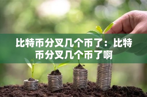 比特币分叉几个币了：比特币分叉几个币了啊