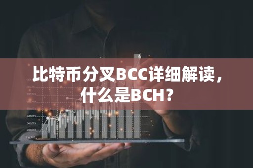 比特币分叉BCC详细解读，什么是BCH？