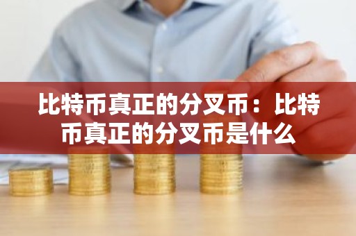 比特币真正的分叉币：比特币真正的分叉币是什么