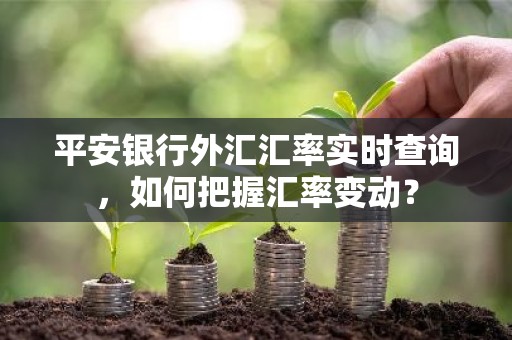 平安银行外汇汇率实时查询，如何把握汇率变动？