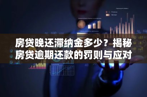 房贷晚还滞纳金多少？揭秘房贷逾期还款的罚则与应对策略