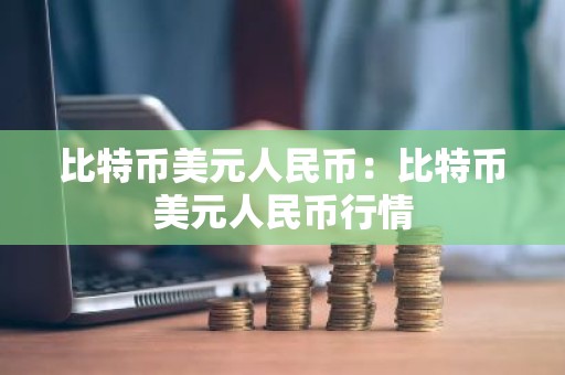 比特币美元人民币：比特币美元人民币行情