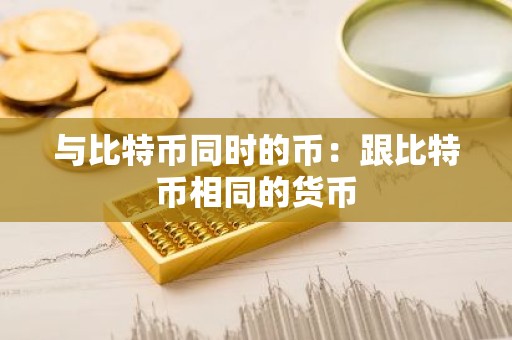 与比特币同时的币：跟比特币相同的货币