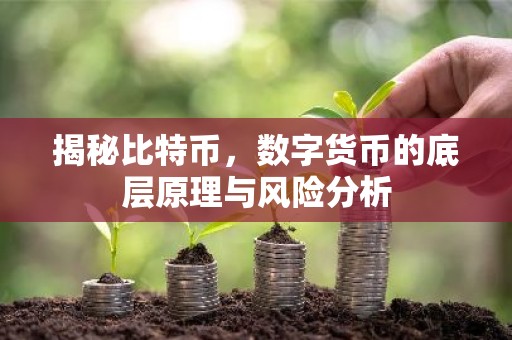 揭秘比特币，数字货币的底层原理与风险分析