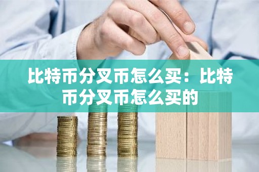 比特币分叉币怎么买：比特币分叉币怎么买的