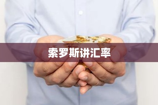 索罗斯讲汇率