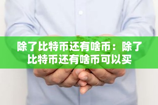 除了比特币还有啥币：除了比特币还有啥币可以买