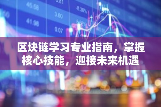 区块链学习专业指南，掌握核心技能，迎接未来机遇