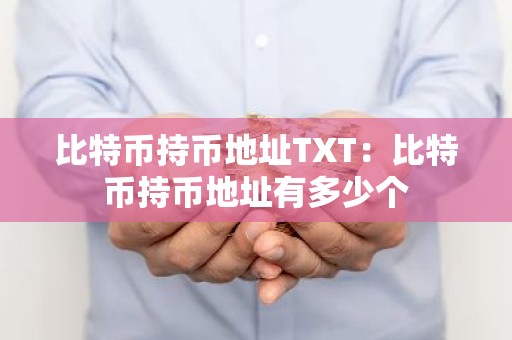 比特币持币地址TXT：比特币持币地址有多少个