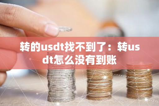 转的usdt找不到了：转usdt怎么没有到账