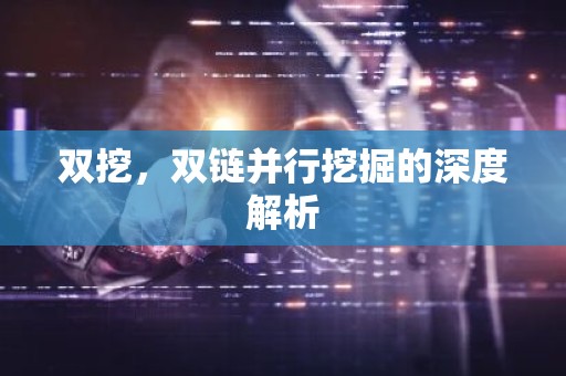 双挖，双链并行挖掘的深度解析