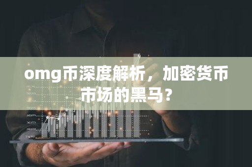 omg币深度解析，加密货币市场的黑马？