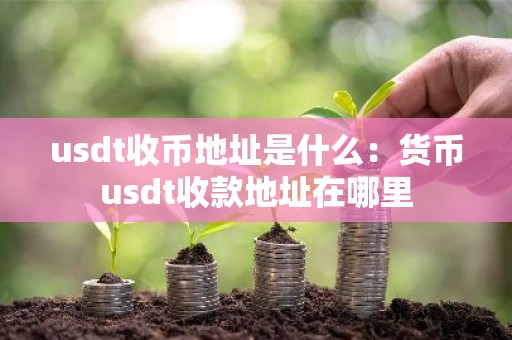usdt收币地址是什么：货币usdt收款地址在哪里
