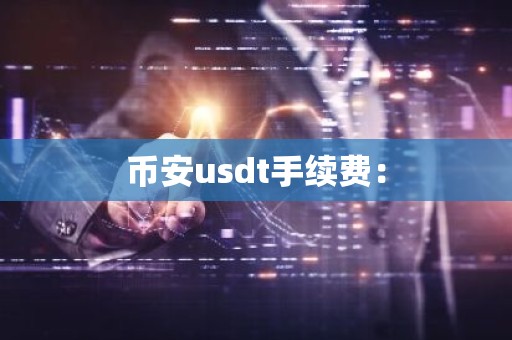 币安usdt手续费：