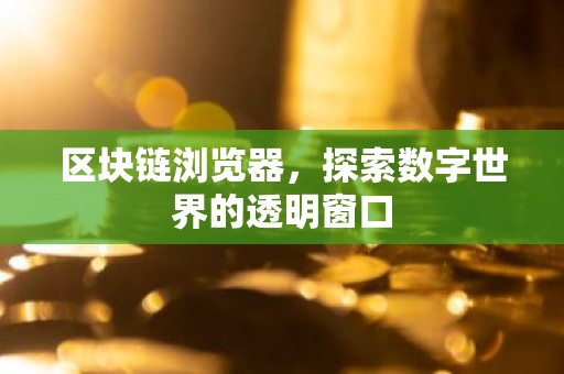 区块链浏览器，探索数字世界的透明窗口
