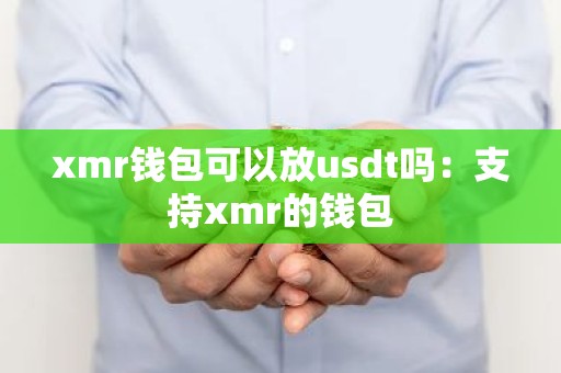 xmr钱包可以放usdt吗：支持xmr的钱包