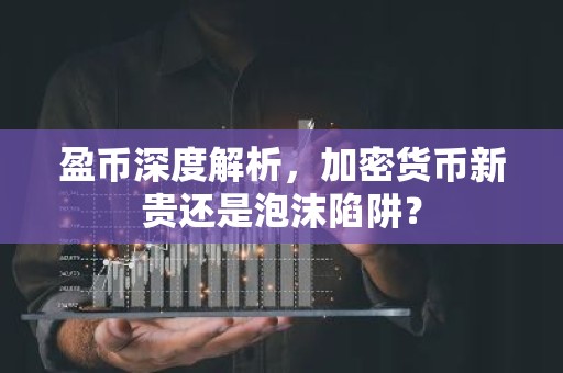 盈币深度解析，加密货币新贵还是泡沫陷阱？