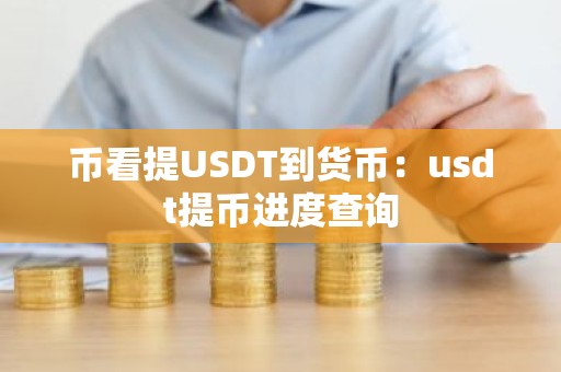 币看提USDT到货币：usdt提币进度查询
