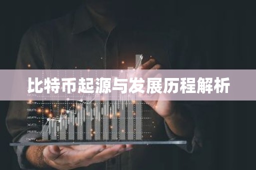 比特币起源与发展历程解析