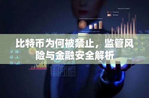 比特币为何被禁止，监管风险与金融安全解析