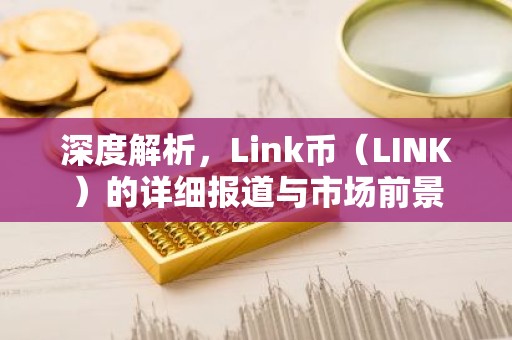 深度解析，Link币（LINK）的详细报道与市场前景