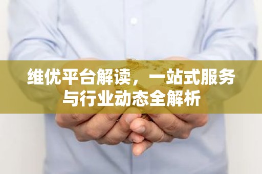 维优平台解读，一站式服务与行业动态全解析