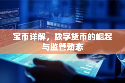 宝币详解，数字货币的崛起与监管动态