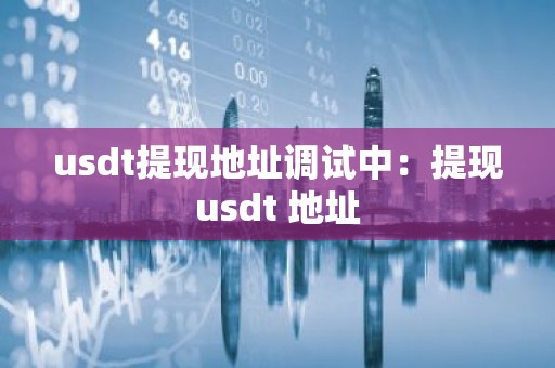 usdt提现地址调试中：提现usdt 地址