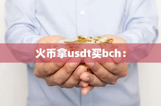 火币拿usdt买bch：