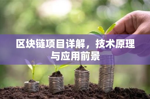 区块链项目详解，技术原理与应用前景