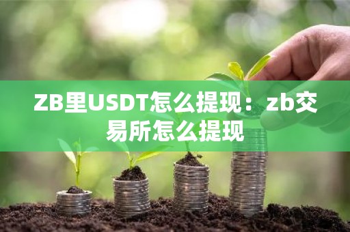 ZB里USDT怎么提现：zb交易所怎么提现