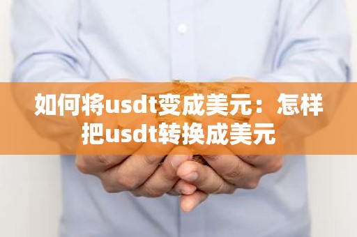 如何将usdt变成美元：怎样把usdt转换成美元