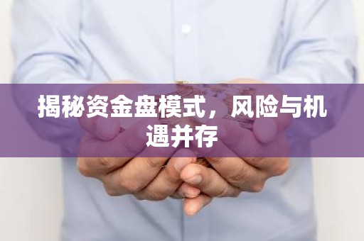 揭秘资金盘模式，风险与机遇并存