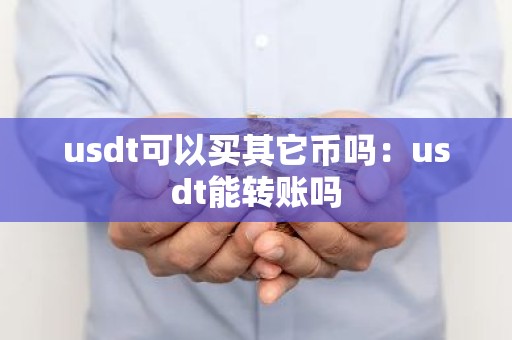 usdt可以买其它币吗：usdt能转账吗